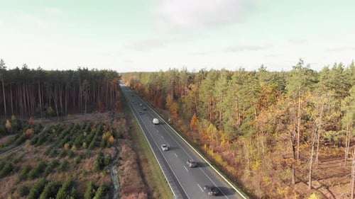 Cars and trucks on road with colorful trees
