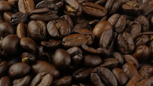 coffee beans close up