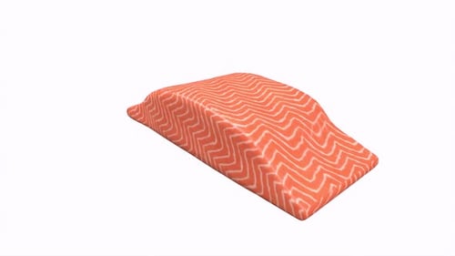 salmon fish meat 3d object rotating loop