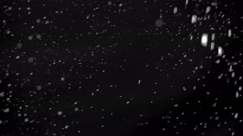 Abstract White Particles Drifting on Black Background