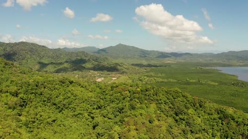 Tropischer Wald und Berge, Palawan, Philippinen