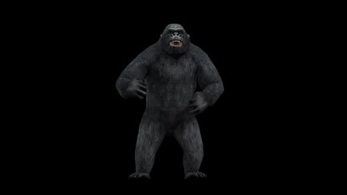 3D Animated Gorilla Chest Beat and Roar
