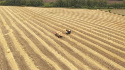 Helicopter View Agricultural Machinery Working in the Field Harvesting