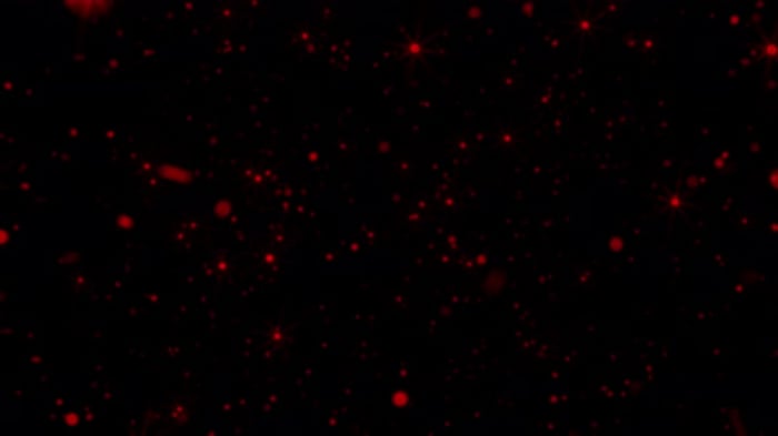 Shimmering Golden Bokeh Particle Background, Overlays Motion Graphics ...