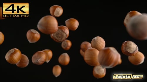 Hazelnuts Falling in Slow Motion on Black Background