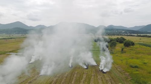 Aerial Flight People Burn Dry Grass in the Fields, Fire in the Field and Flying Over a Smoky Field