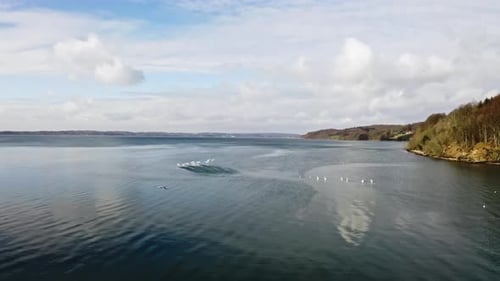 Drohnenflug über den See als Schwäne abheben