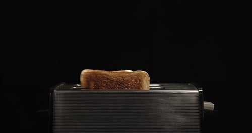 Toaster Pops up Two Slices of Bread