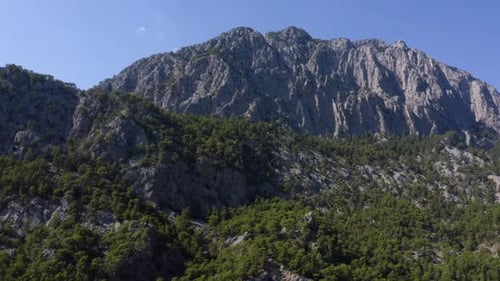 Grey Mountain Peaks and Green Forests