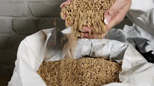 Conceito de cervejaria