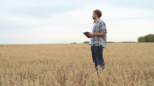 Man Stands with Tablet in Grain Field