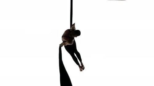 Man Dancer on Aerial Silk, Aerial Contortion, Aerial Ribbons, Aerial Fabric in Posing Exercise
