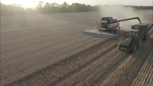 Combine Harvesting Wheat