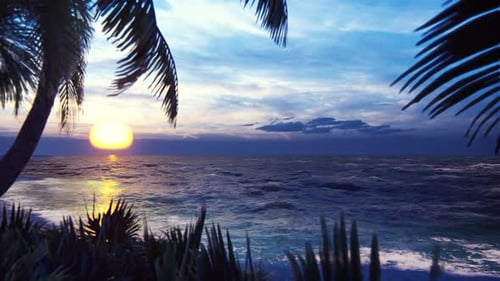 Branches of Palm Trees