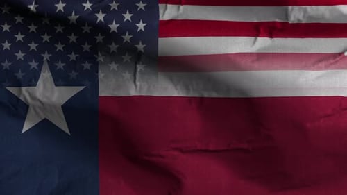 Waving American and Texas State Flag Blend