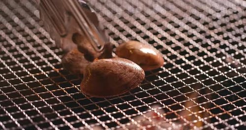 Palourdes fraîches sur un filet métallique grillé au barbecue