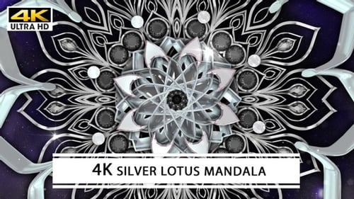 Animated Silver Mandala Kaleidoscope Loop Background