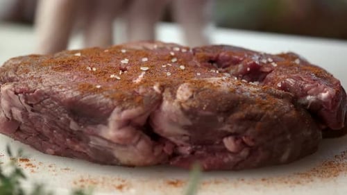 Seasoned Raw Meat Prepared for Cooking