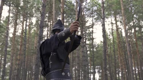 Verwendung von Pfeil und Bogen in der Geschichte der Antike.