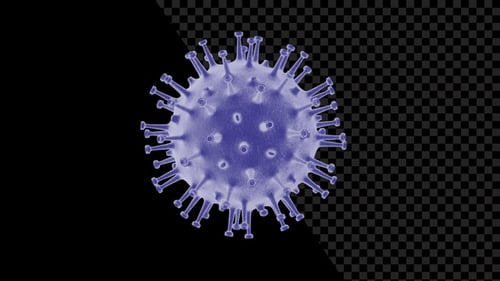 Rotating 3D Virus Particle Animation for Medical Science Projects