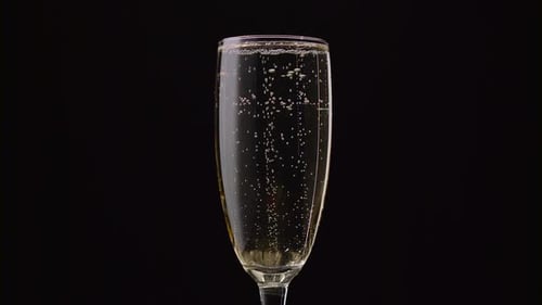 Glass of Champagne with a Rotating Bubbles Inside. Black Background. Close Up
