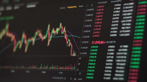 Dynamic Stock Market Graph with Price Fluctuations