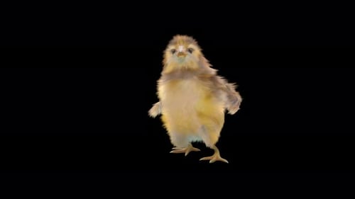 Cute Baby Chick Dancing on Transparent Background