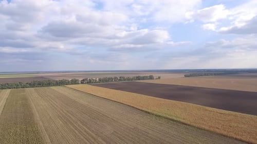 Aerial View of Agricultural Fields on Sunny Day