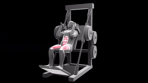 Hack Squat