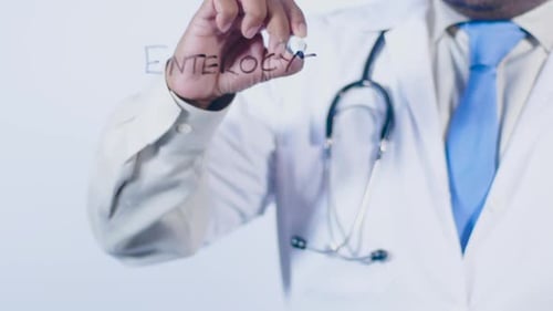 Doctor Writes Enterocytes on Glass Surface Close Up