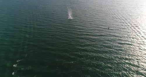 Aerial view of speed boats on the sea near beach city