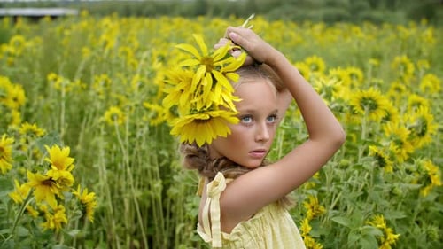 Beautiful Teen Girl with Yellow Flowers Posing on Blooming Field. Attractive Young Model with