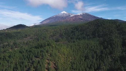 Incredible Aerial Views of Lava Forests in Teide Volcano National Park