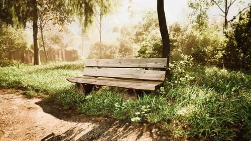 Beautiful Bench in the Park at Spring Sunny Day