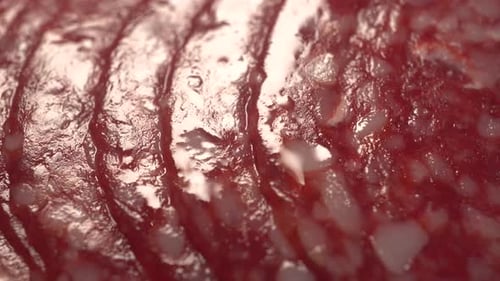 Macro Texture Sausage Sliced, Slider Shot