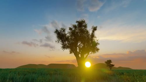 Animated Golden Sunset Landscape with Trees and Moving Grass