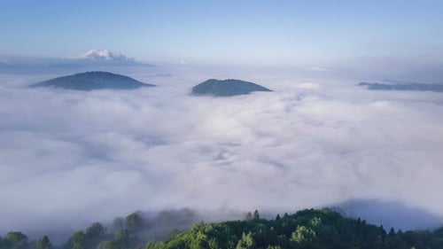 Fliege über neblige Wolken in der Sommernatur