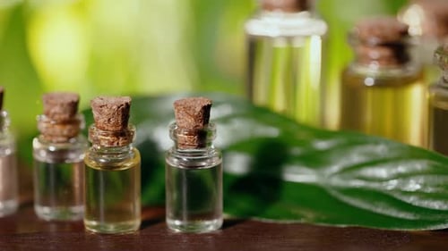 Frascos com óleo essencial na natureza