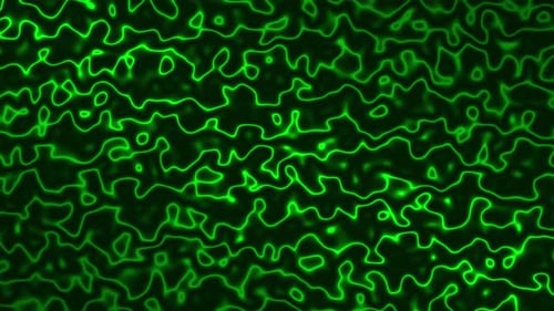 Green Topographic Lines Loop Background