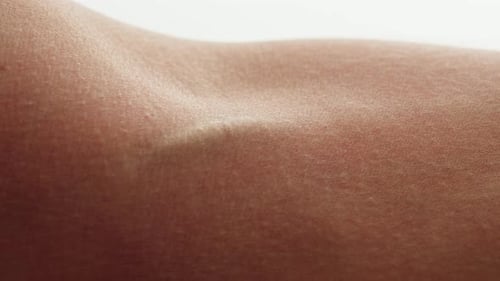 Close Up of Arm Muscles and Skin Texture