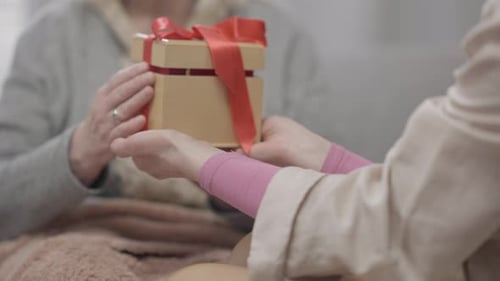 Woman Giving Wrapped Present to Senior Woman