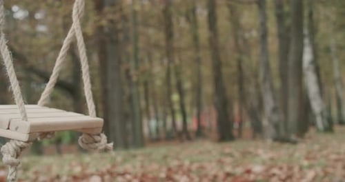 Close Up of an Empty Swing Swinging By Wind in the Middle of a Desolate Park in an Autumn Day. Slow