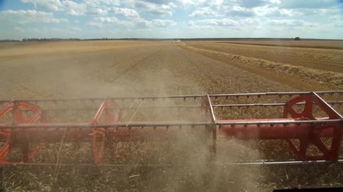 Red Harvester Reaps a Large Field of Wheat