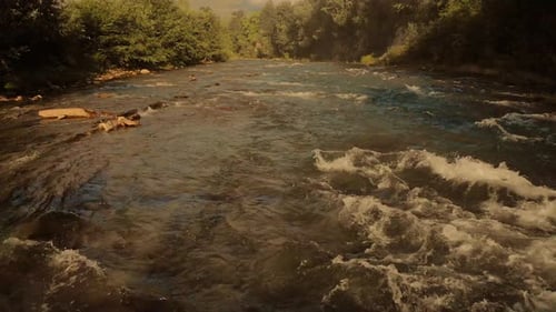 Rapid River Stream Over Stones in the Forest