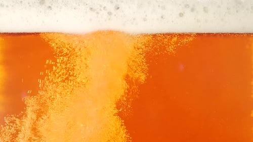 Beer Pouring Into Glass Close Up