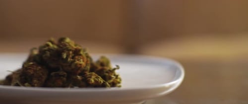 Prato com botões de cannabis sendo movidos sobre uma mesa, de perto, com pouca profundidade de campo