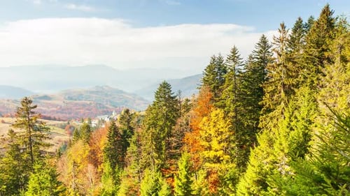Fantastic Aerial Footage of a Mountain Rock Covered with Coniferous Forest