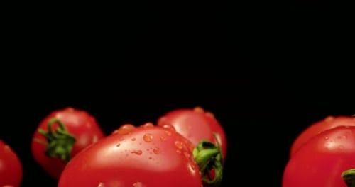 Fresh Tomatoes with Water Droplets on Black