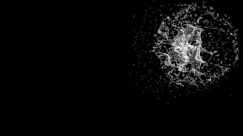 Two Drops of Water Collide and Form Splashes on a Black