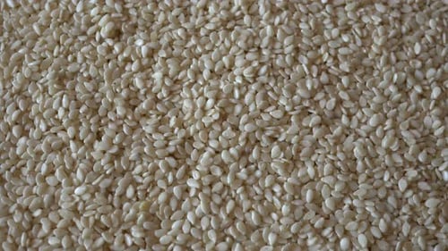 Sesame Rotation Background